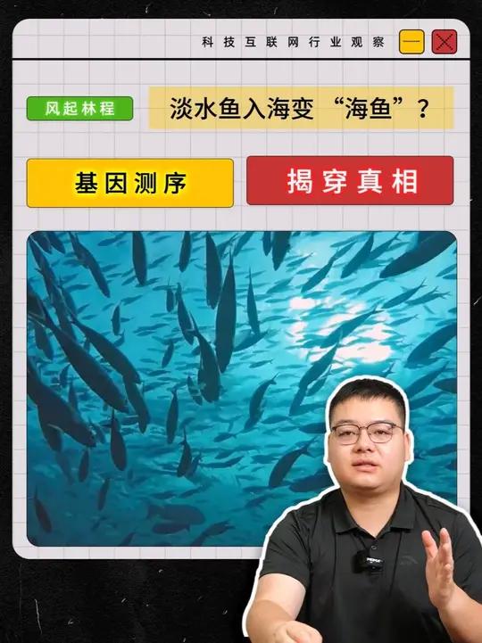 淡水鱼入海变 “海鱼”?基因测序揭穿真相