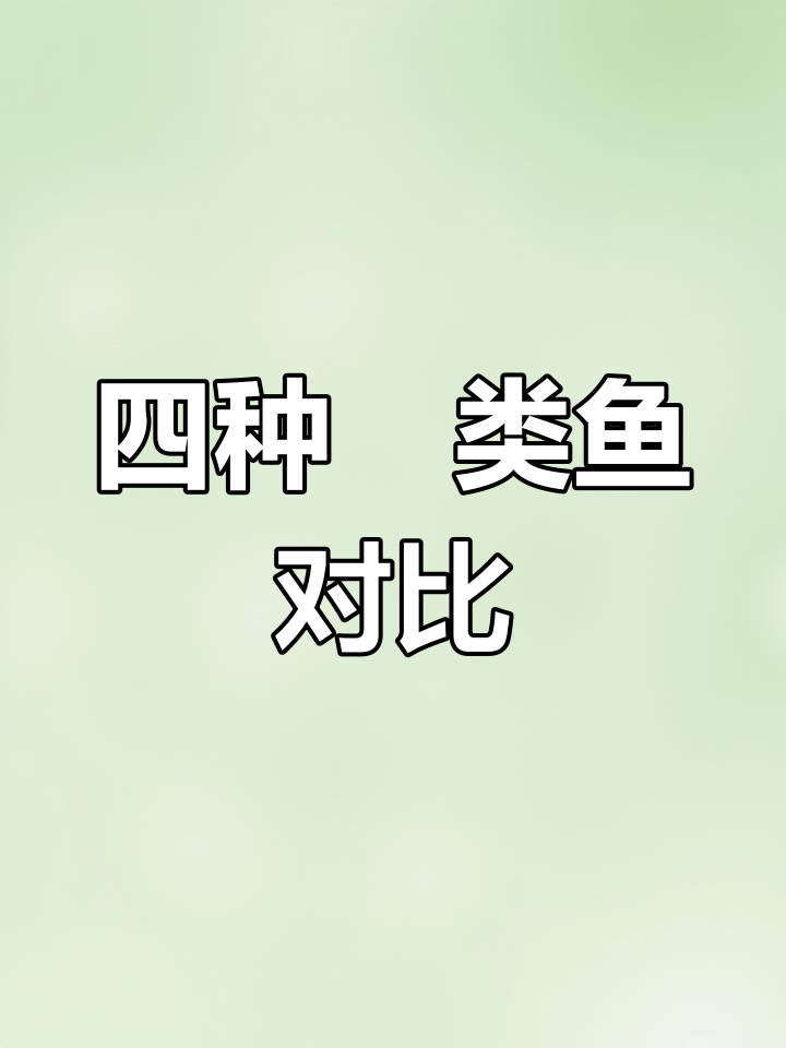 轻松区分四种常见鲌类鱼