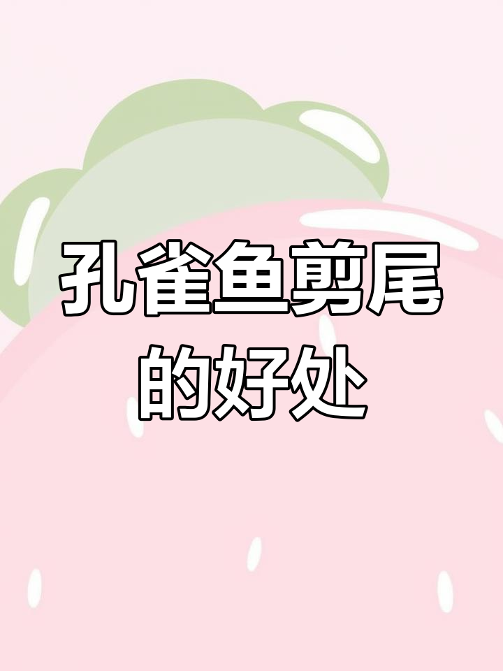 孔雀鱼剪尾的必要性,如何正确操作避免伤害