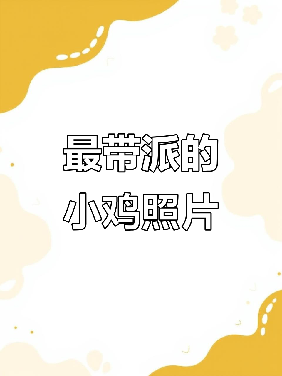 小鸡带派挑战：从大嘴到经典刘海，哪张最酷？