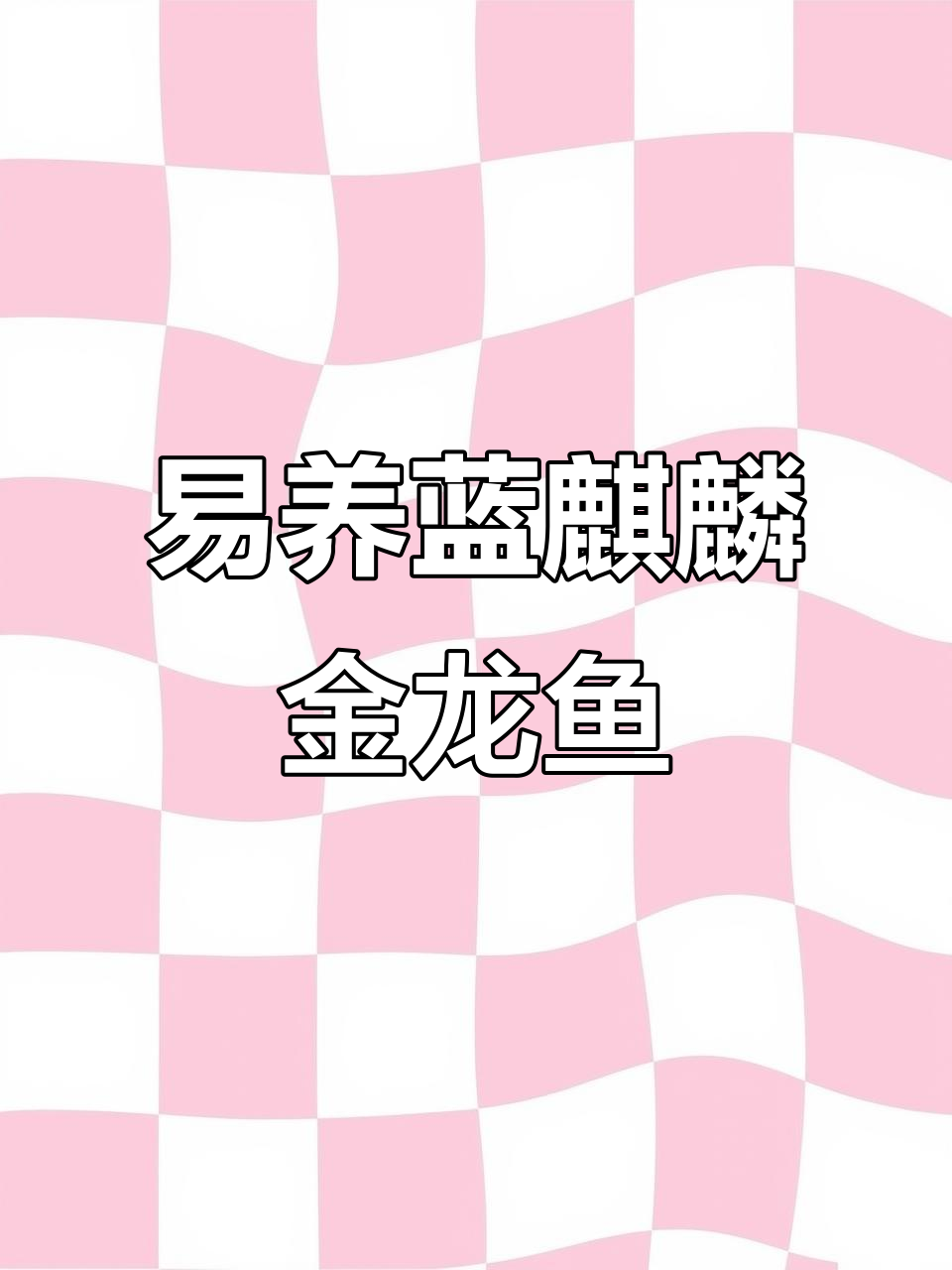 马来西亚蓝麒麟金龙鱼:美丽又易养的观赏选择