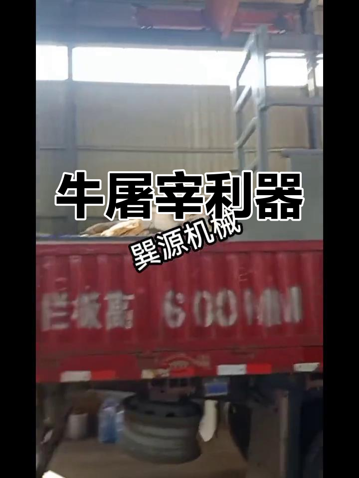 牛屠宰设备,旋转翻板箱助力高效杀戮