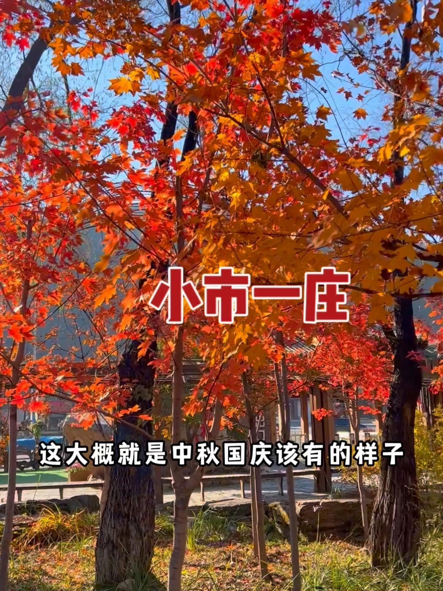 本溪小市一庄邀您一起来喝羊汤,赏枫叶,品美食,金秋旅游季就来小市一庄打卡吧 小市一庄 十一