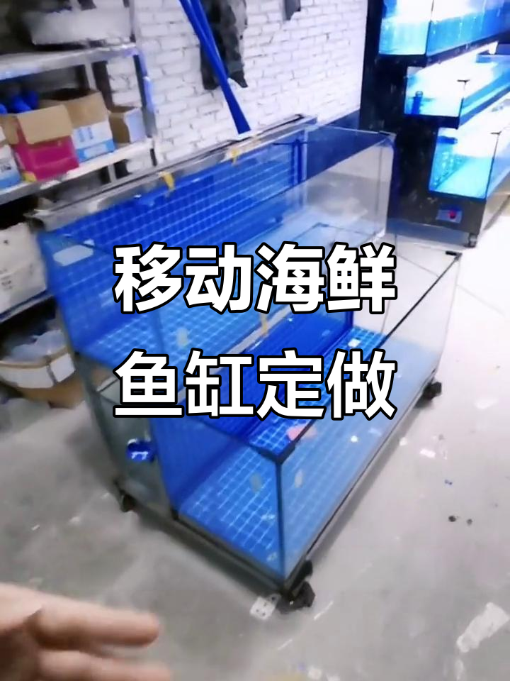移动式海鲜鱼缸定制,饭店专用设计大揭秘