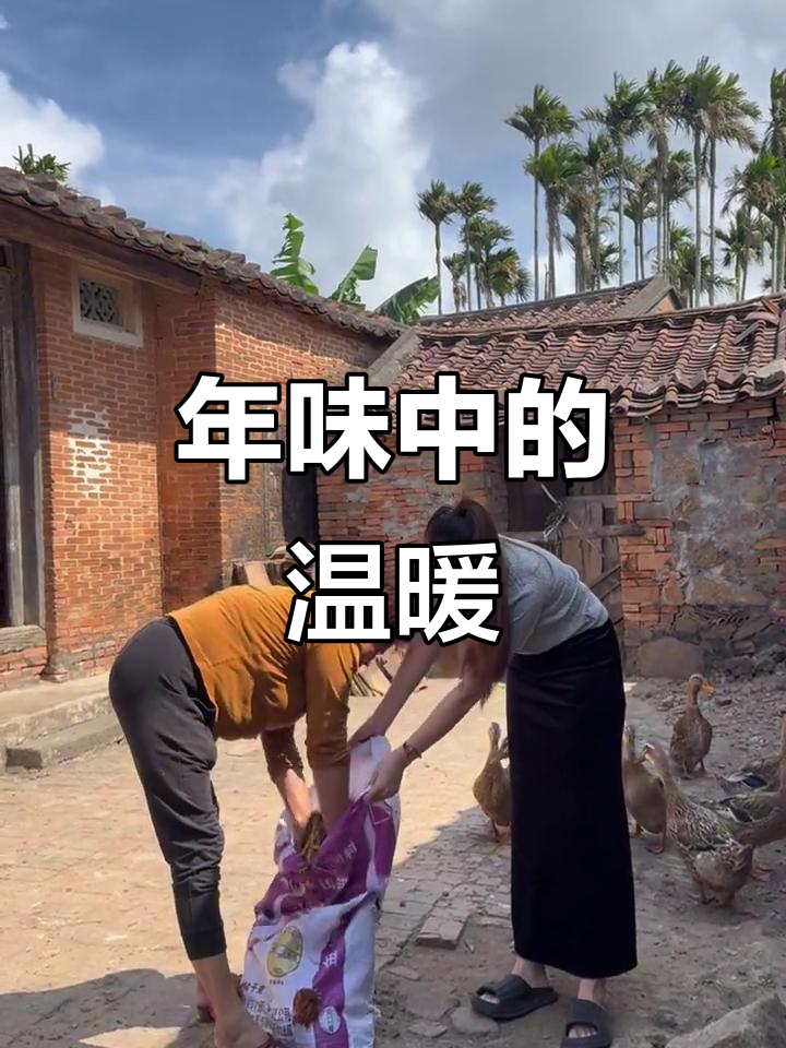 海南年货大公鸡,回家过年更添温馨!