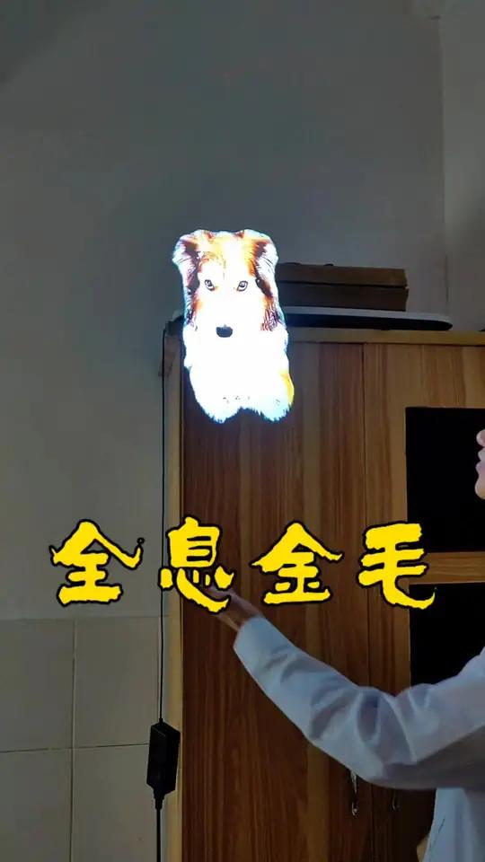 全息金毛 3d魔法风扇全息展台 3d动态广告灯箱全息灯箱