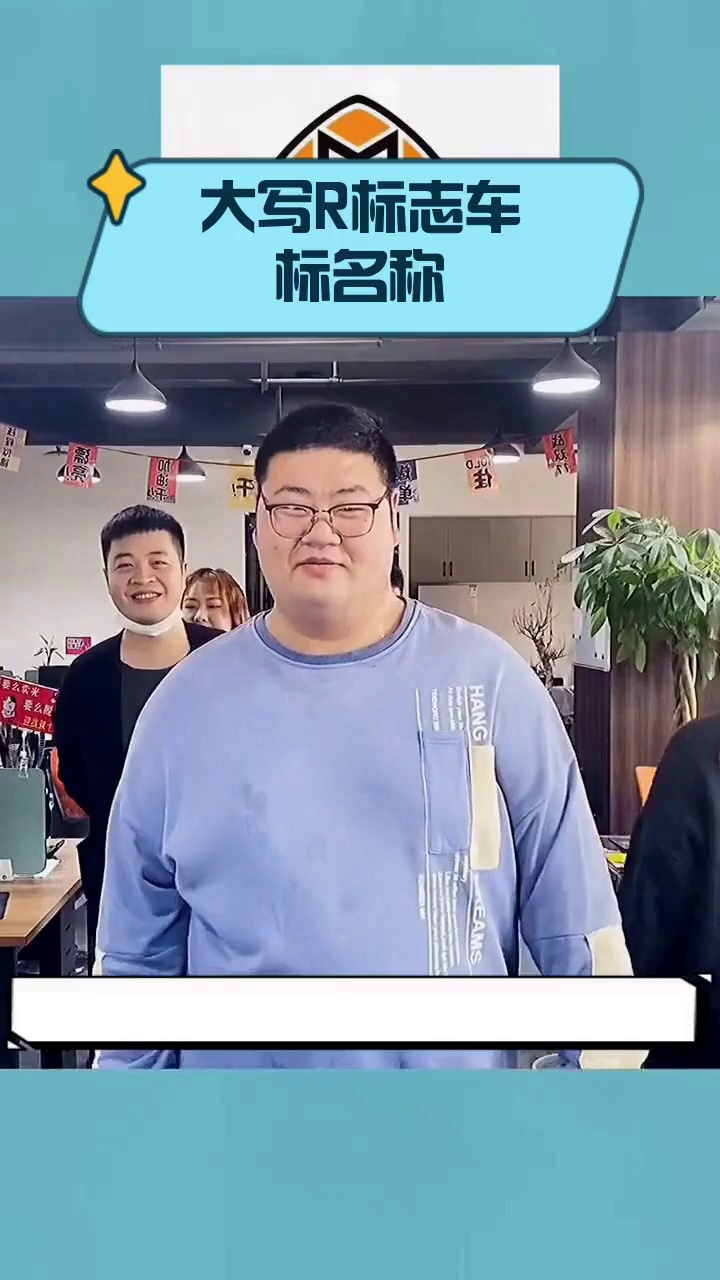 大写R标志车标名称
