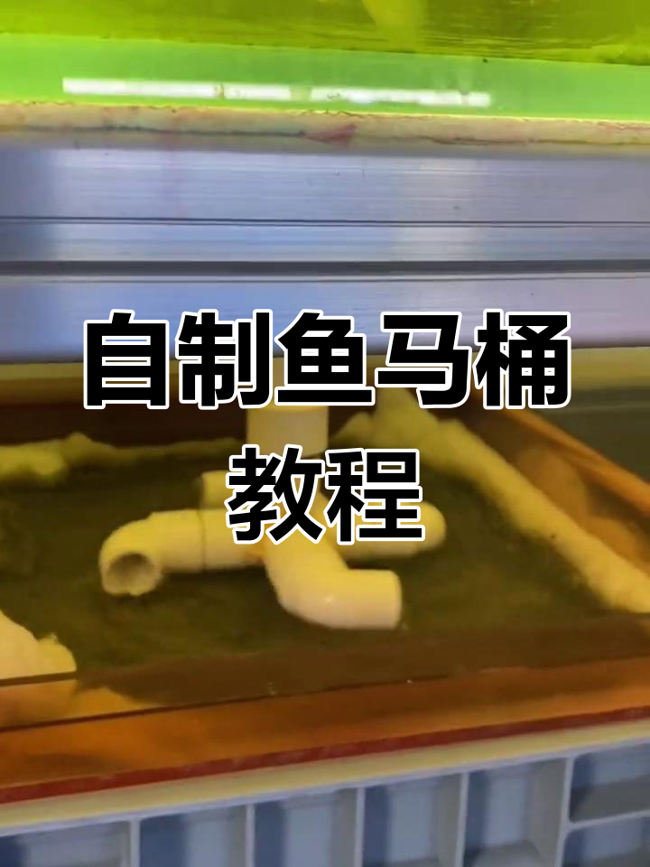 鱼马桶拆解与制作技巧,简单又实用