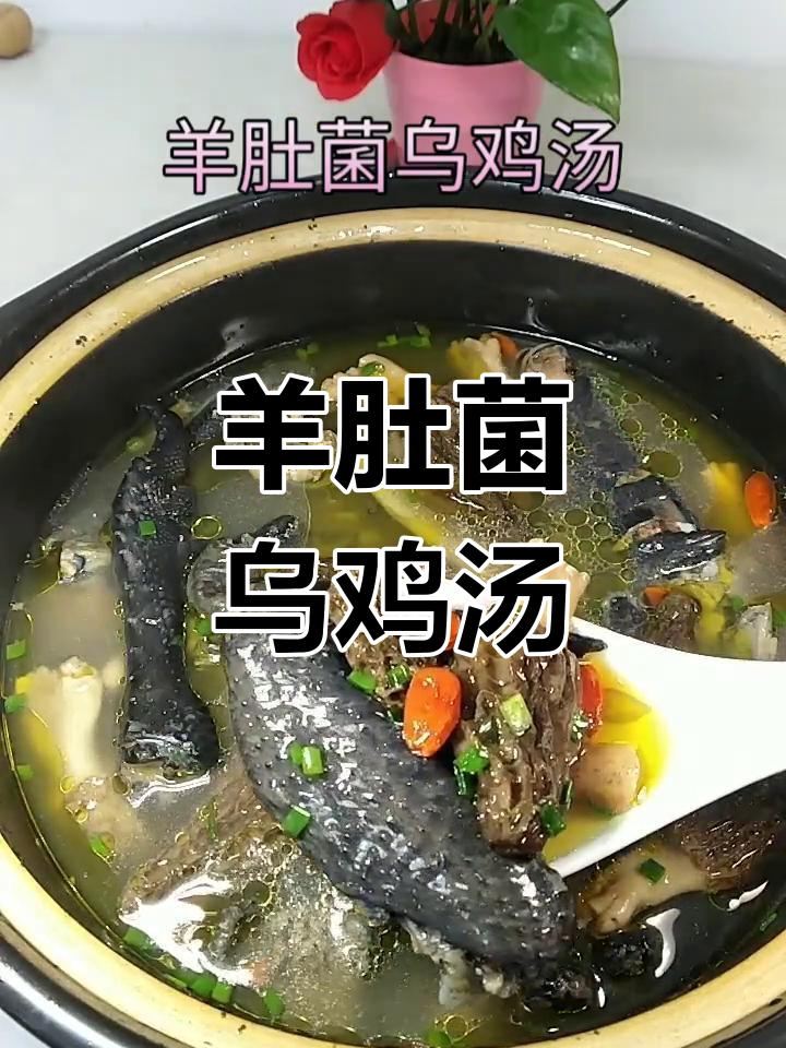 羊肚菌乌鸡汤,滋补美味,炖出满满幸福感