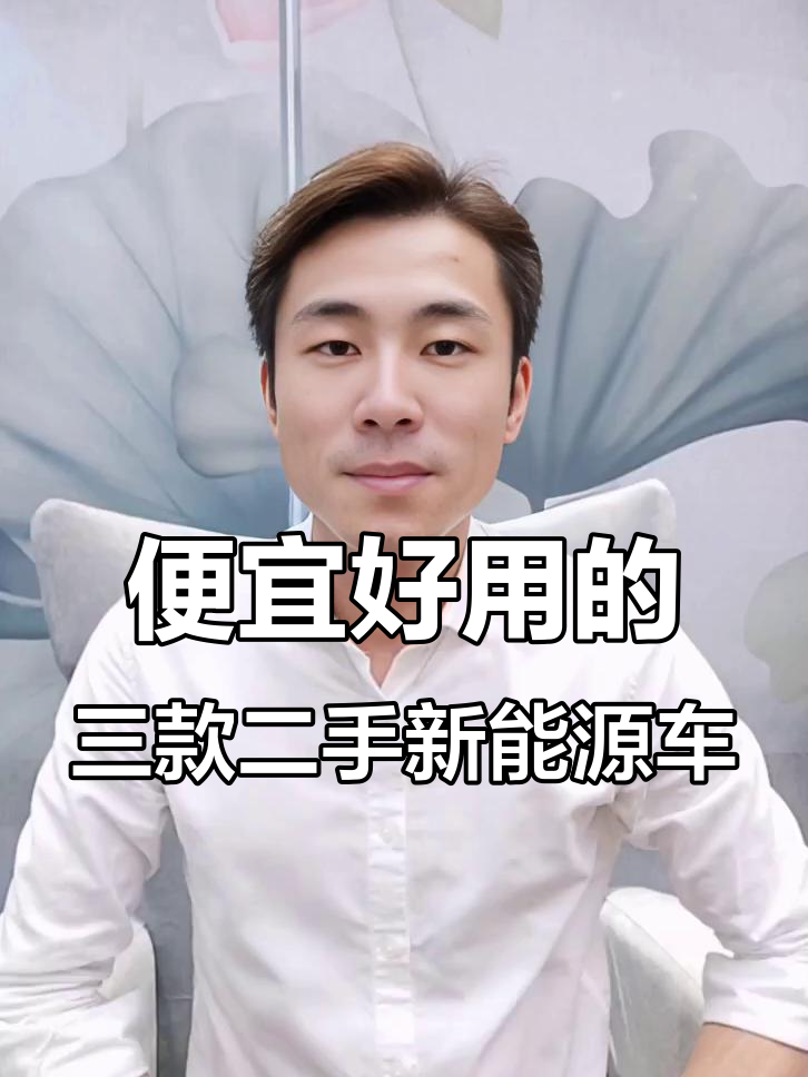 三款高性价比二手新能源面包车推荐，轻松跑三十万公里