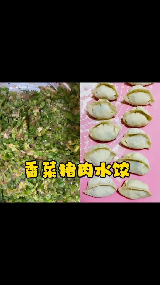 香菜猪肉水饺～绝对值得一试的饺子