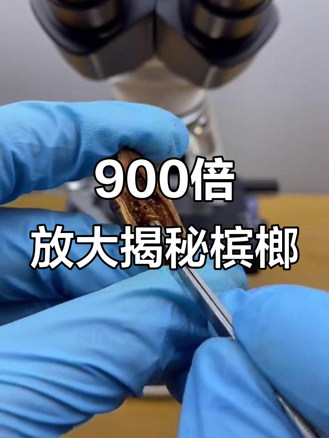 显微镜下看槟榔,竟然藏着这些致癌物质!