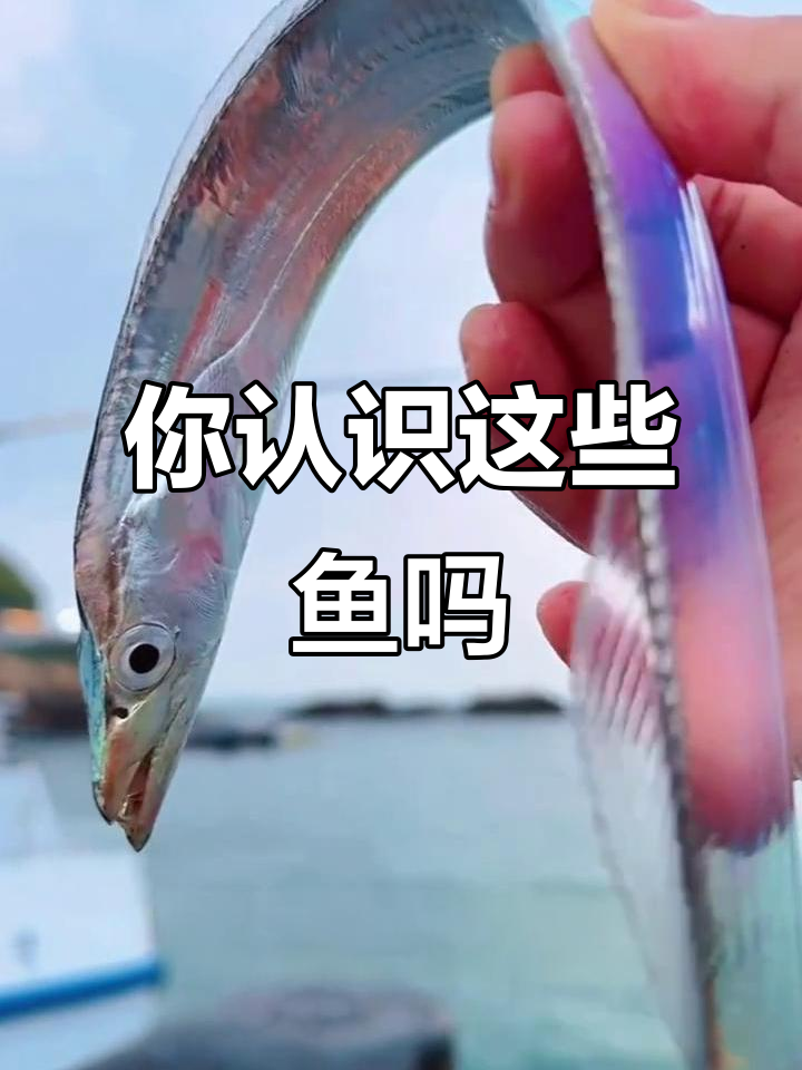 15种常见鱼类大揭秘,你能认出几种?