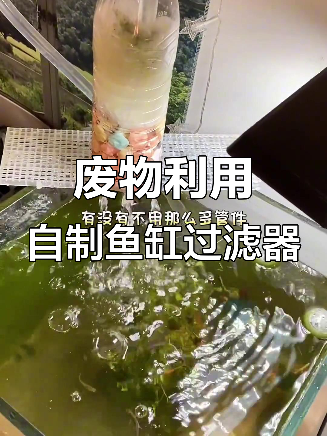用废旧饮料瓶DIY小鱼缸过滤系统,简单又高效
