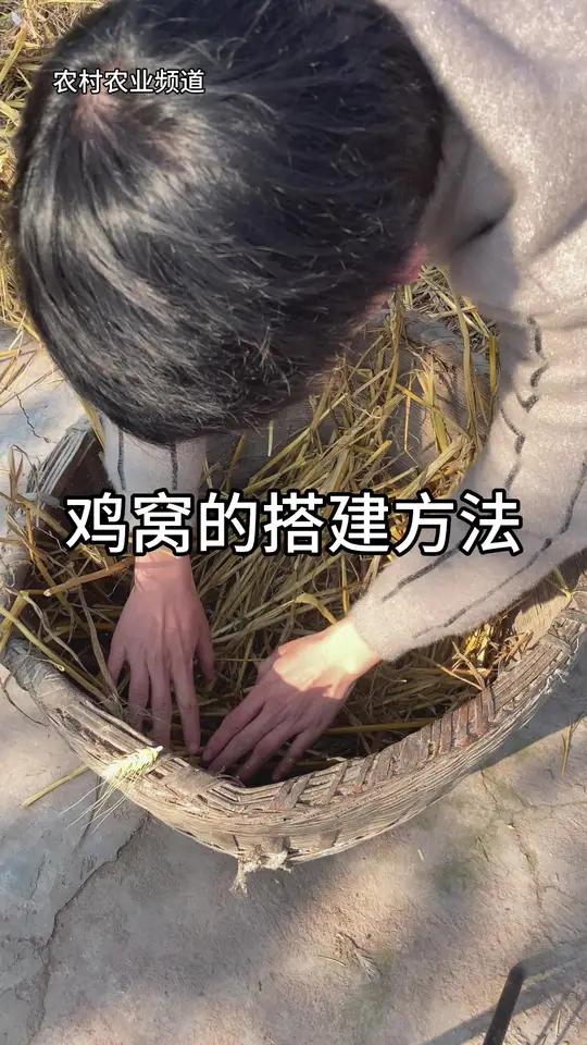 鸡窝的搭建教程