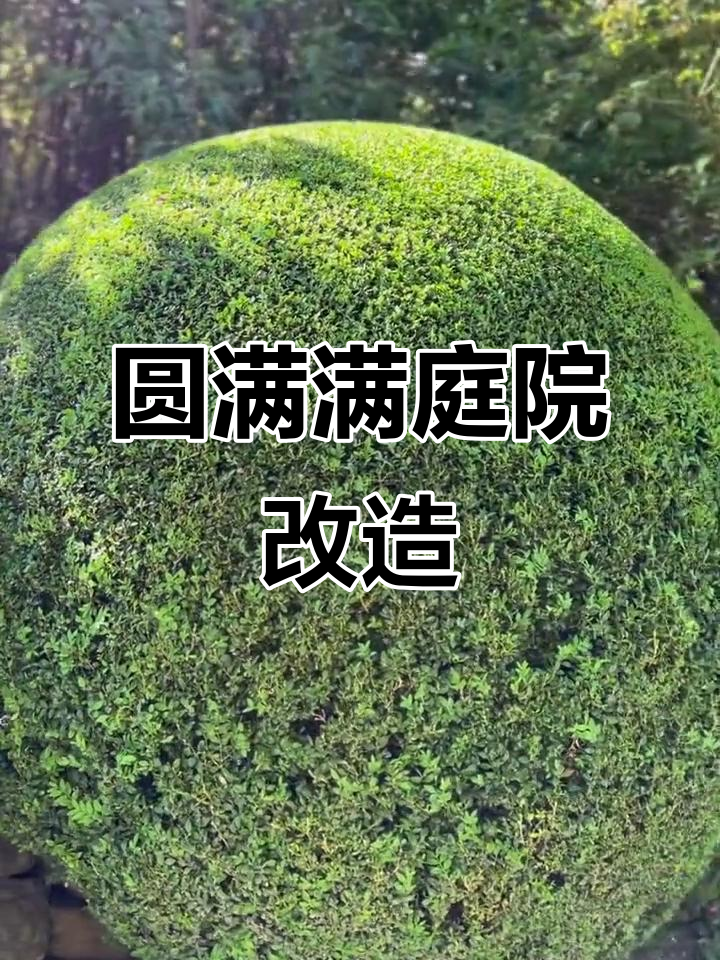 重庆花园设计：从露台到完美庭院，打造理想家居