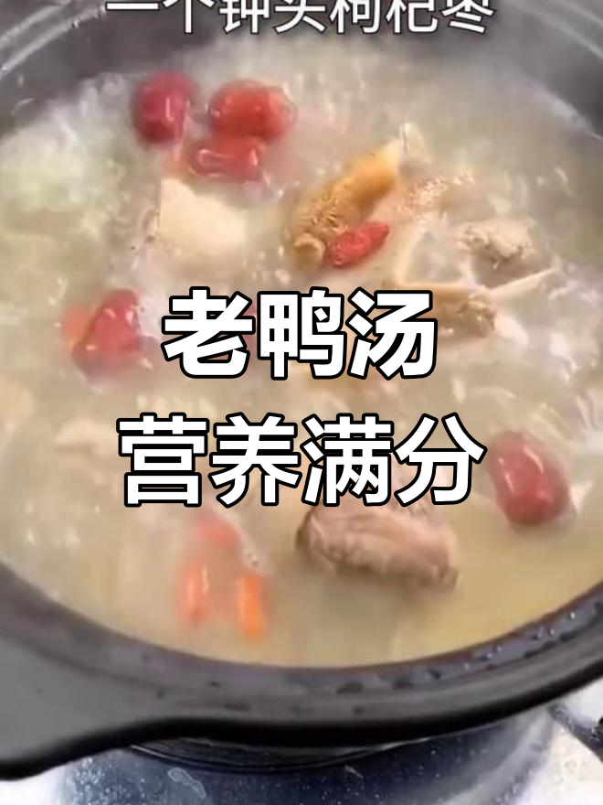 滋补养生老鸭汤,全家皆宜
