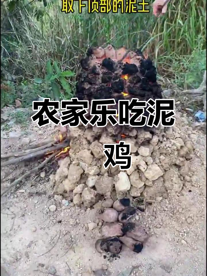 农家乐亲子体验，泥焗鸡和番薯大快朵颐