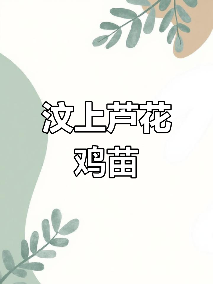 山东汶上芦花鸡:散养抗病强,绿壳蛋美味