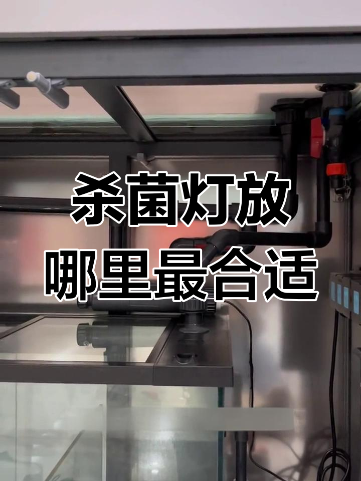 杀菌灯最佳放置位置解析