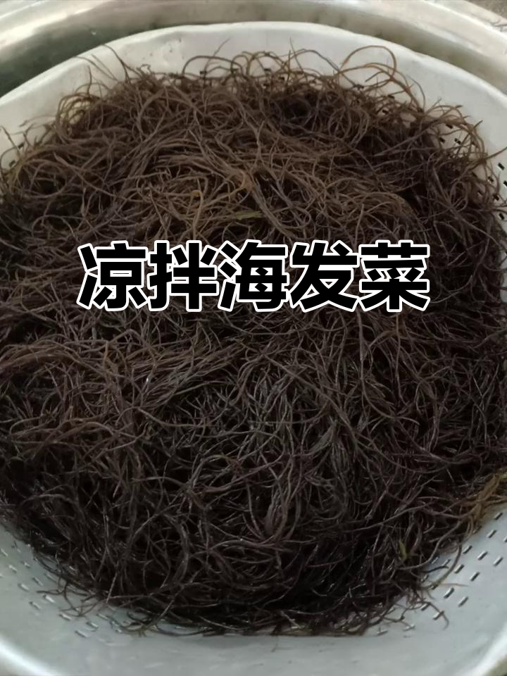 海发菜凉拌,香料丰富,酸甜开胃