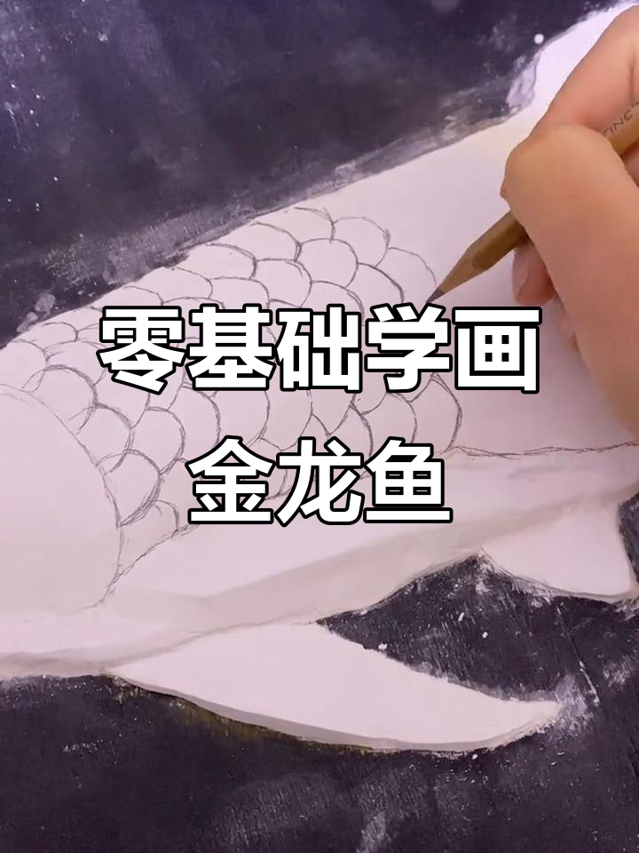 从零基础到画出金龙鱼，自学画画也能很有成就感