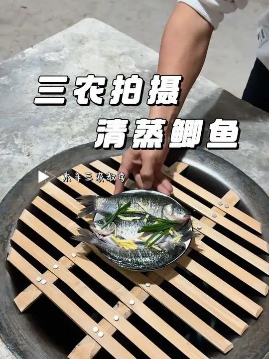 三农视频抓鱼蒸鱼拍摄教学