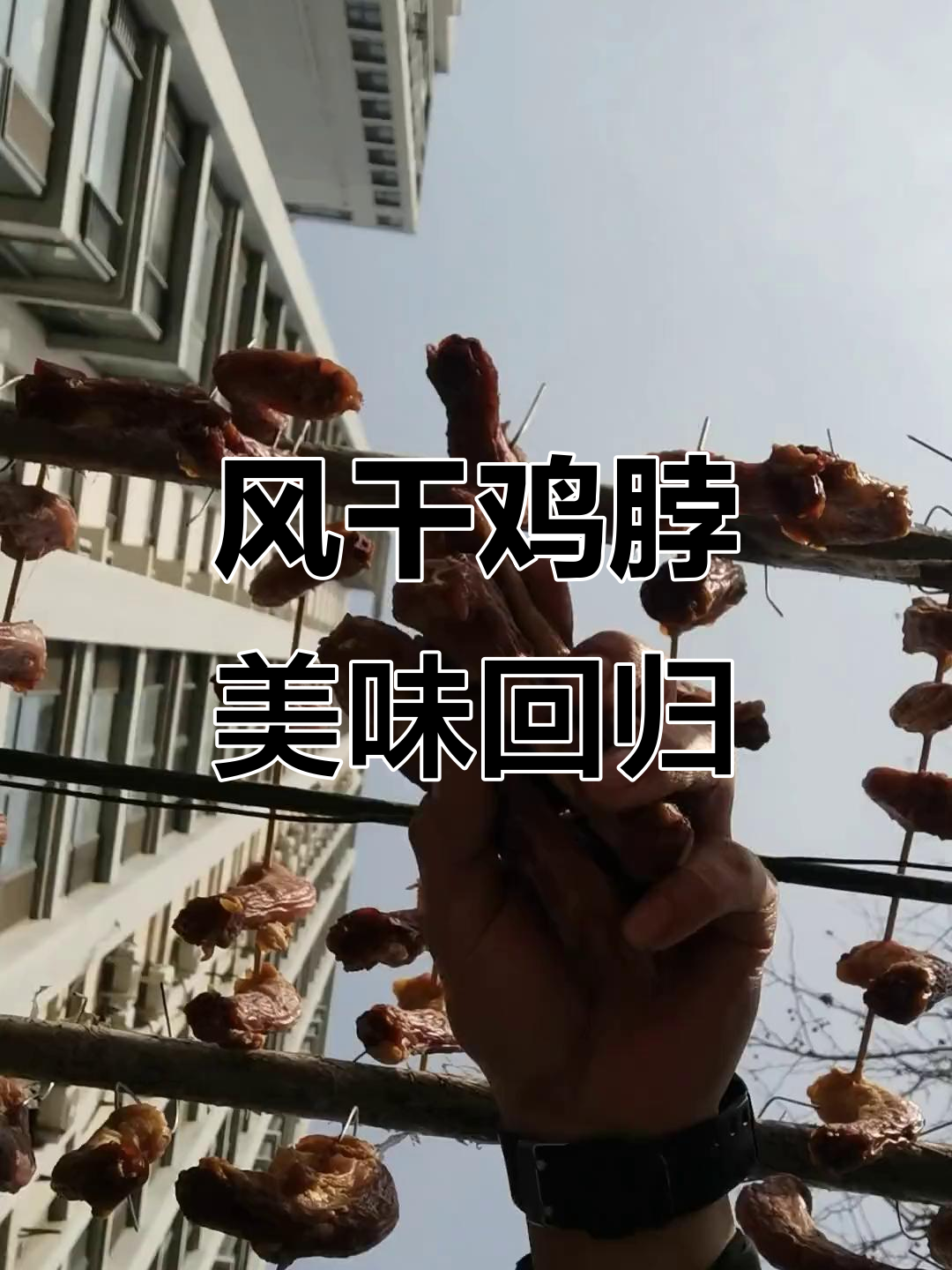 鸡脖子风干完毕,忍不住尝一口,真是久违的美味!