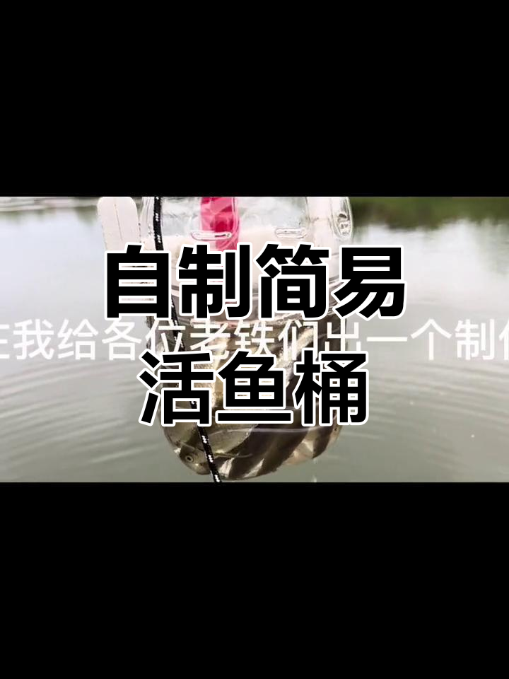 简单实用的活鱼桶制作方法,轻松搞定溪流路亚