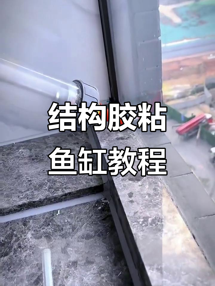 结构胶能粘鱼缸,施工技巧全揭秘