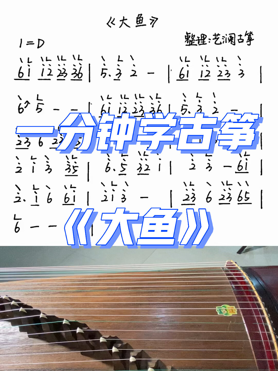 「一分钟学古筝」《大鱼》快来一起练习吧