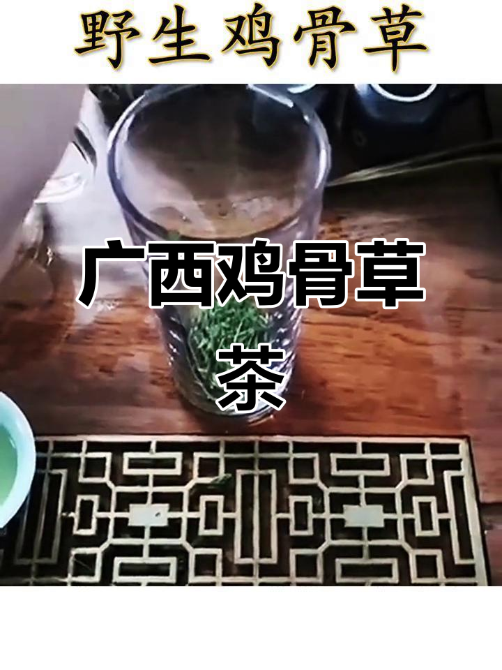 广西鸡骨草茶：天然晒干相思叶，回味甘甜，清热去火
