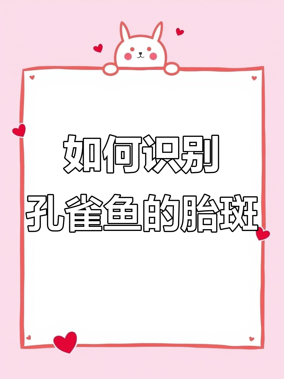 母鱼胎斑如何辨别？看这里！