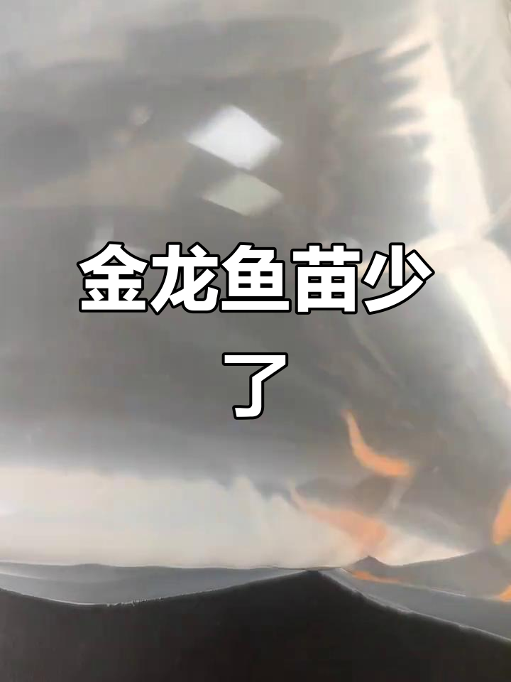 拼多多买的金龙鱼苗,到手竟然少了一条!