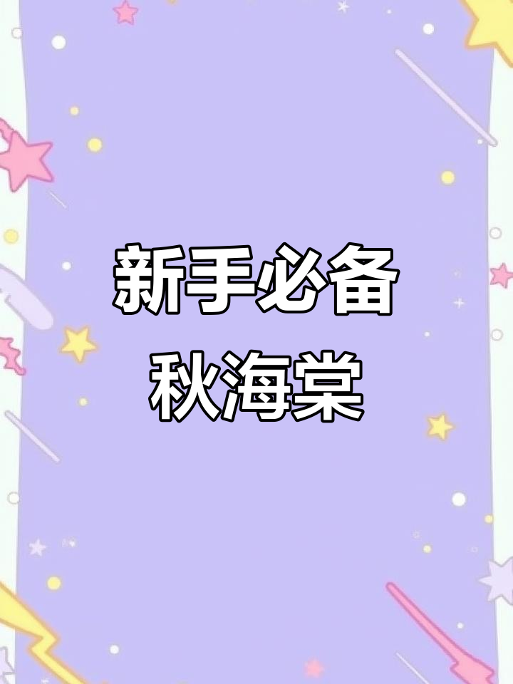 秋海棠新手必选品种推荐,微风胭脂与夏联最合适