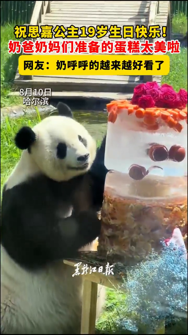 祝思嘉公主19岁生日快乐！奶爸奶妈们准备的蛋糕太美啦