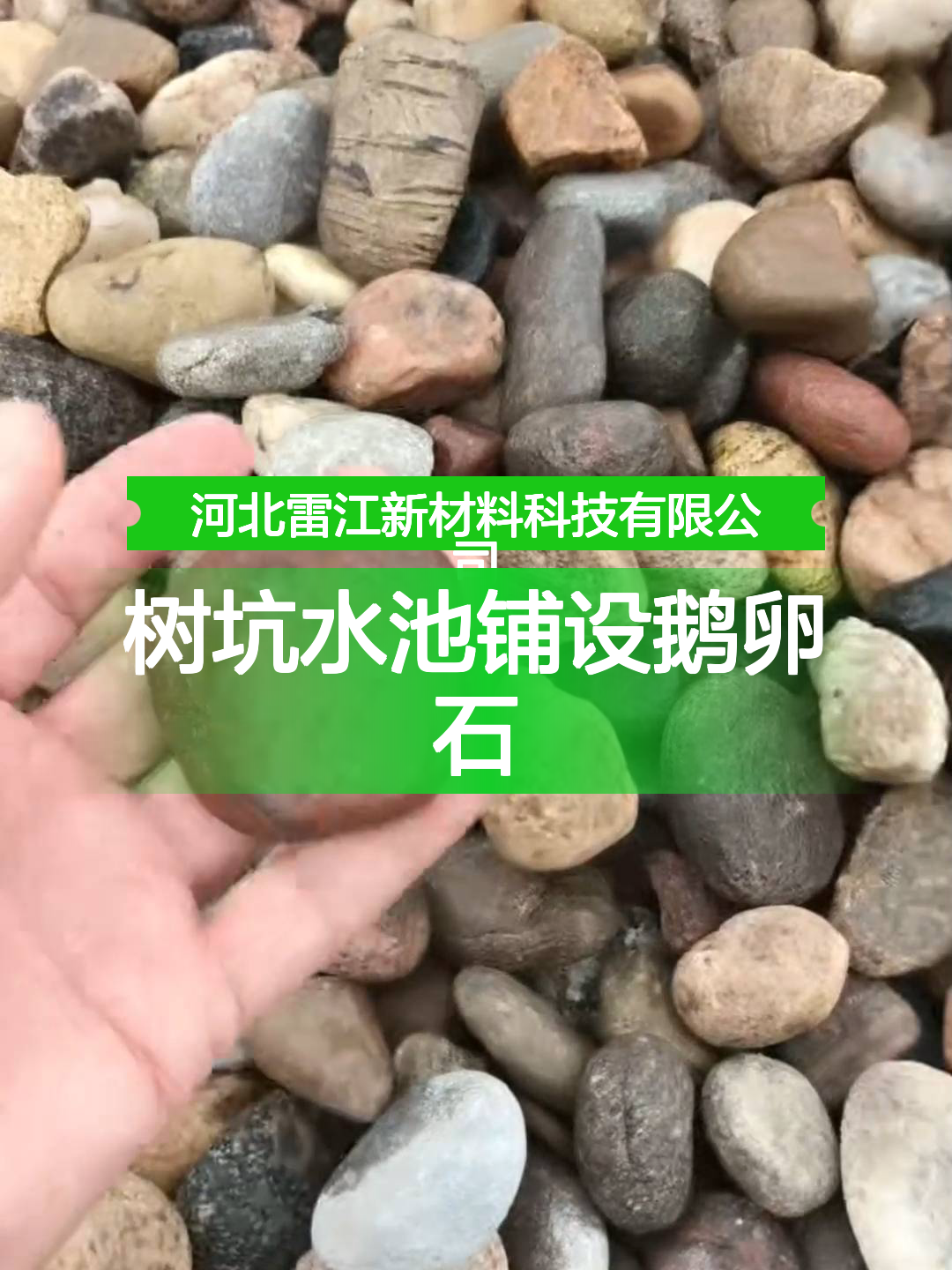 树坑水池铺设鹅卵石