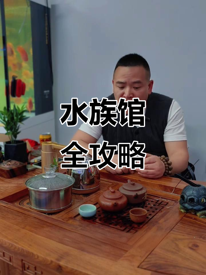 青浦水族馆,观赏鱼与配件一应俱全!