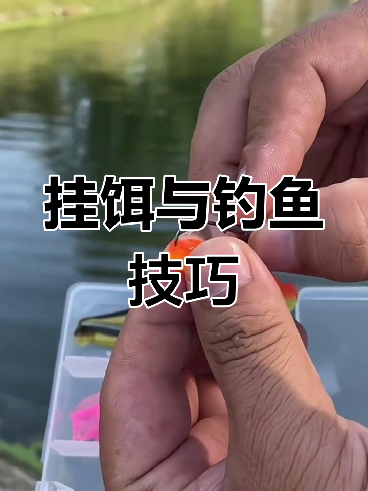路亚钓鳜鱼、鲈鱼的技巧解析