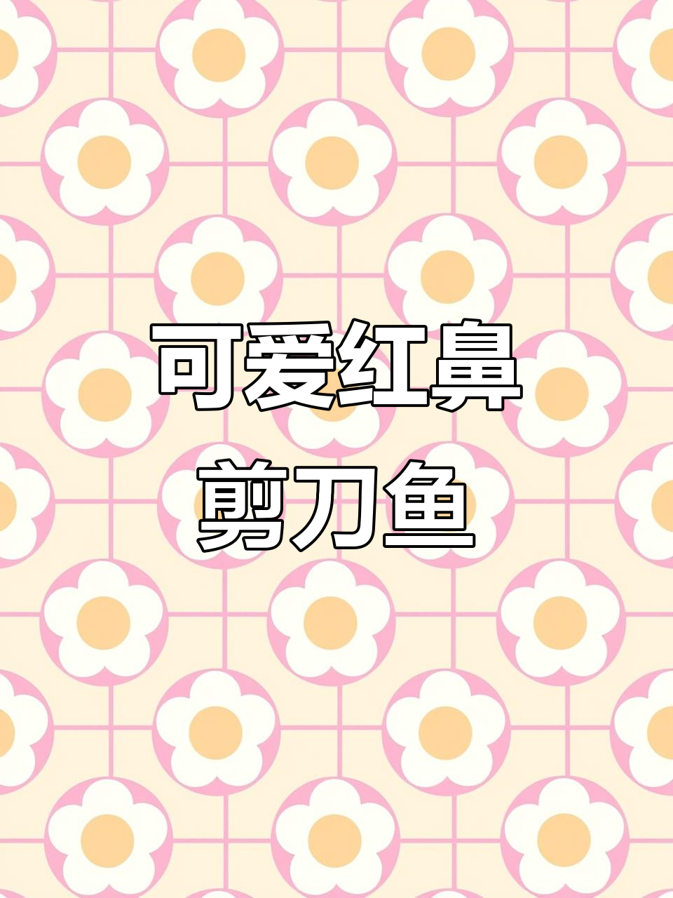 红鼻剪刀鱼:水质监测小能手,温顺又好养