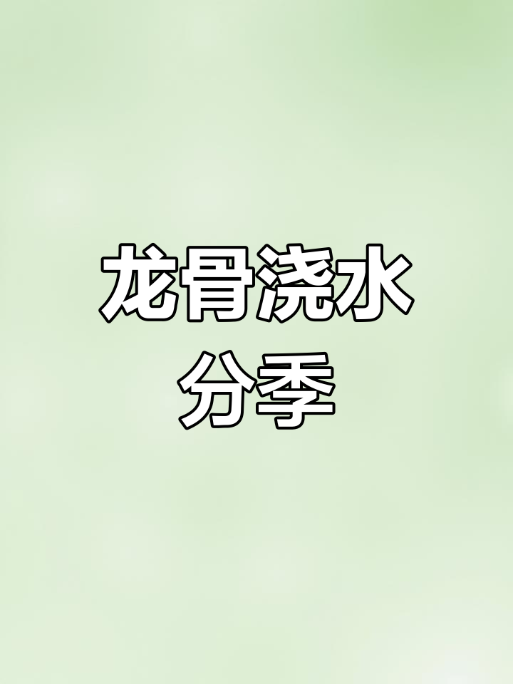 浇水频率随季节调整,龙骨多肉需保持土壤湿润