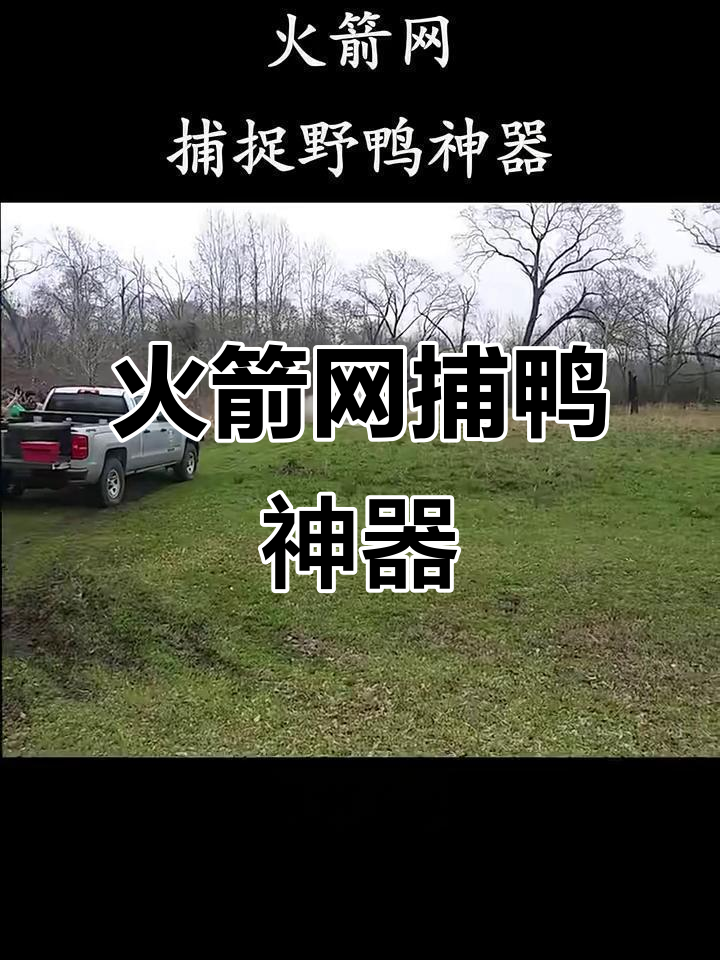 火箭网捕捉野鸭,一泡就中!