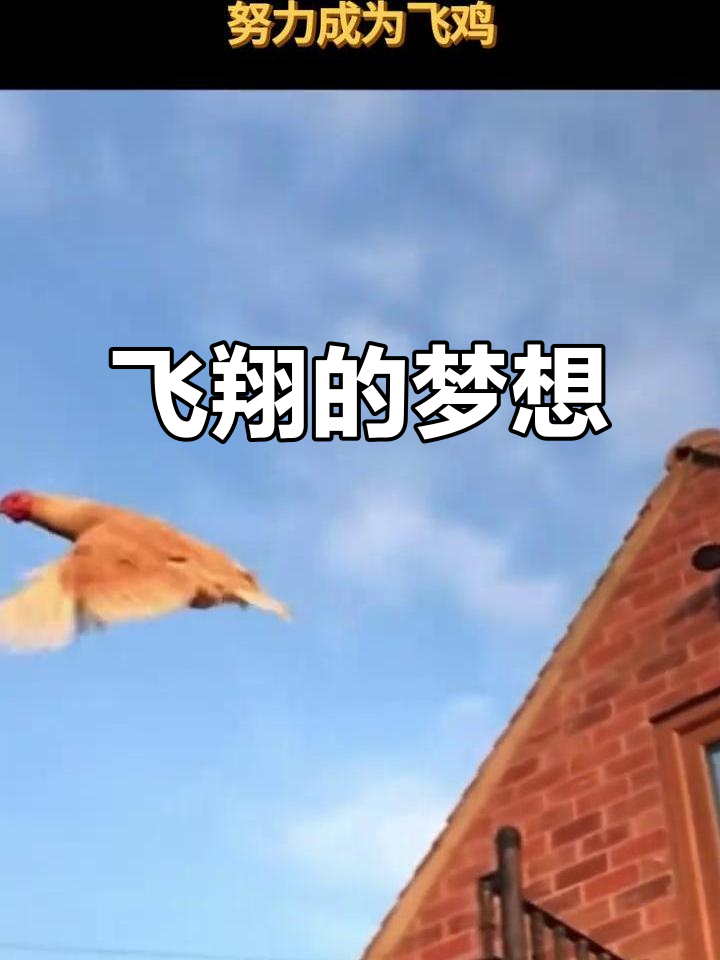 新机翱翔,母鸡欲飞,国人心潮澎湃!