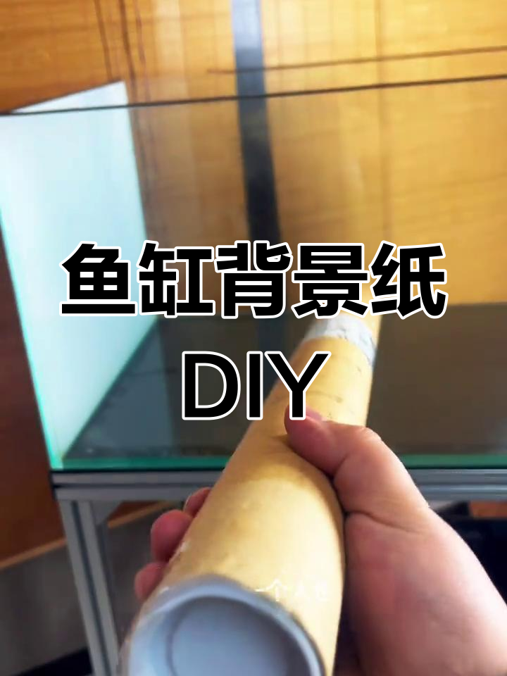 鱼缸背景纸轻松贴,简单几步搞定!