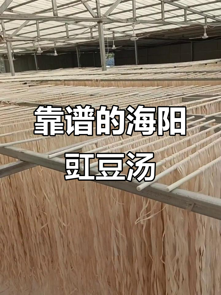 海阳豇豆汤:质量与诚信并重,地方特色美食的坚守