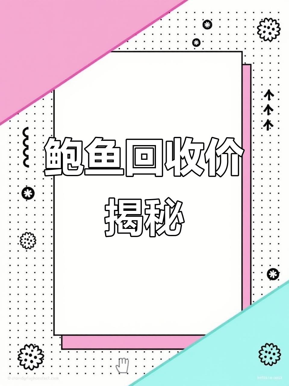 鲍鱼回收价格差异大,了解各品种的最新报价!