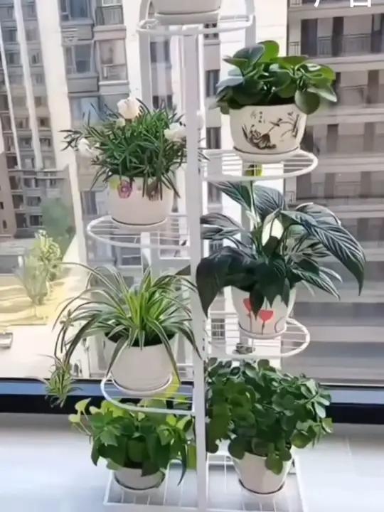 裝修設計 阳台花盆架多肉室内花架子