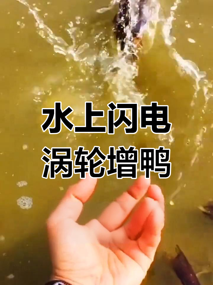 涡轮增压小水鸭,水上漂的神奇技能
