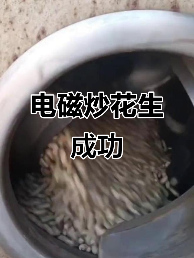 河南郑州蓝天瓜子炒花生,电磁炒货机助力顺利生产