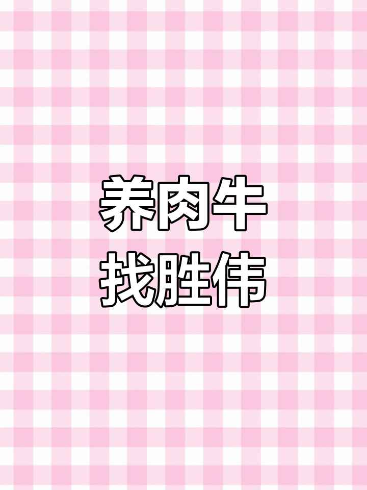 肉牛养殖创业路,胜伟助你成功
